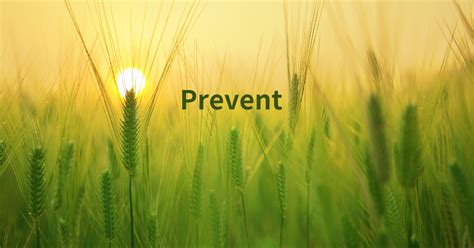 how to prevent v.